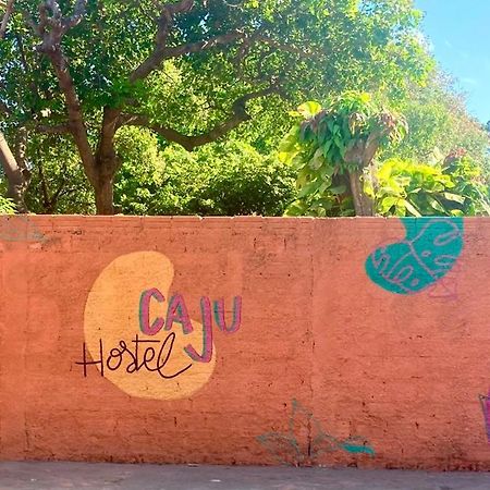 Caju Hostel ألتر دو تشاو المظهر الخارجي الصورة